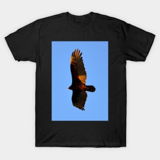 Turkey Vulture T-Shirt